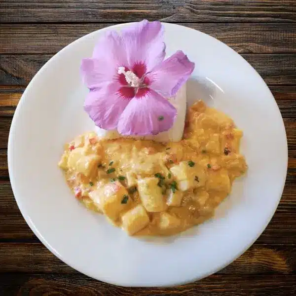 Moqueca vegana aux légumes de saison Moqueca vegana aux légumes de saison